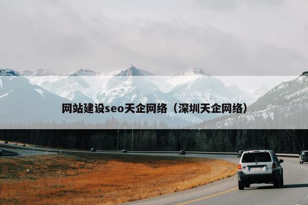 网站建设seo天企网络（深圳天企网络）