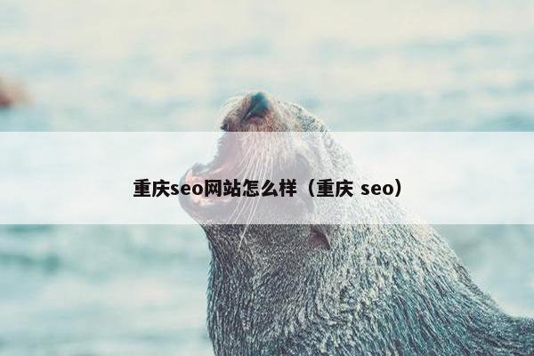 重庆seo网站怎么样（重庆 seo）