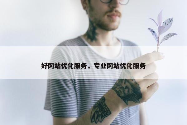 好网站优化服务，专业网站优化服务