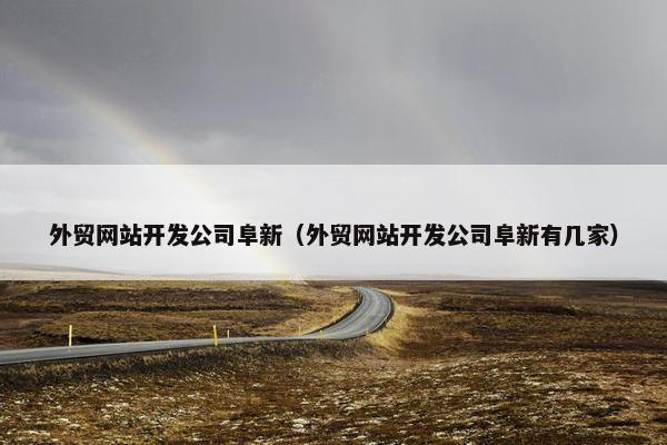 外贸网站开发公司阜新（外贸网站开发公司阜新有几家）