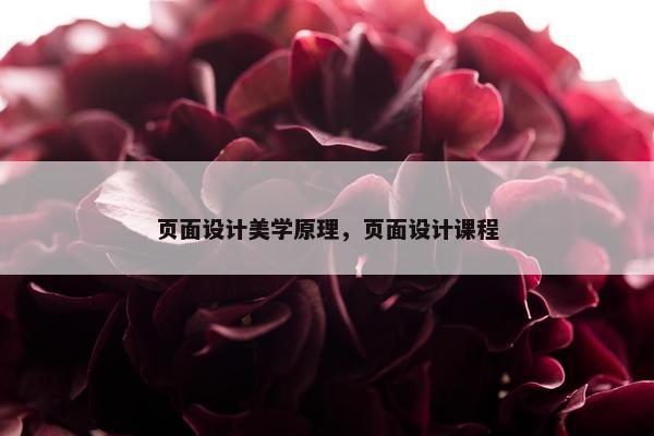 页面设计美学原理，页面设计课程