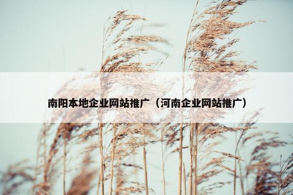 南阳本地企业网站推广（河南企业网站推广）