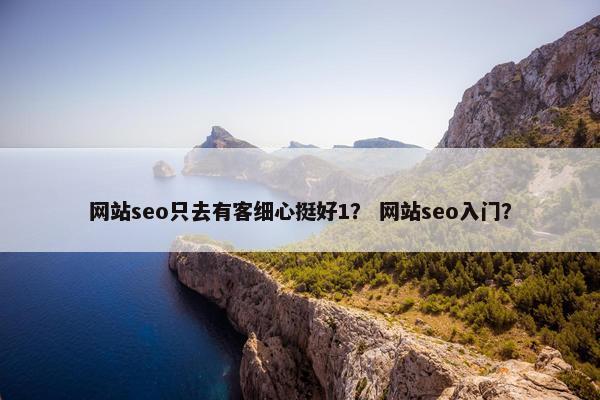 网站seo只去有客细心挺好1？ 网站seo入门？