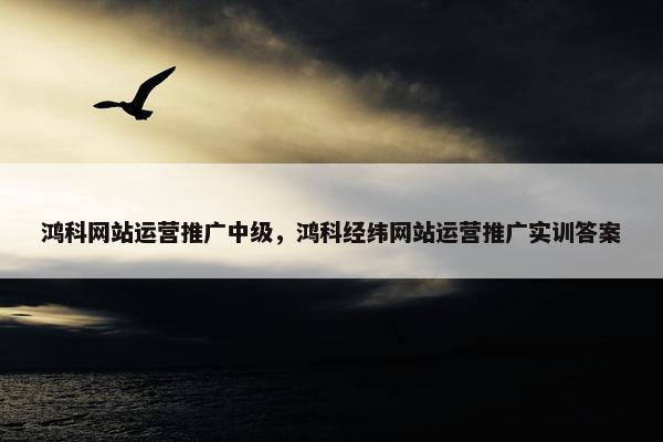 鸿科网站运营推广中级，鸿科经纬网站运营推广实训答案