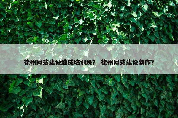 徐州网站建设速成培训班？ 徐州网站建设制作？