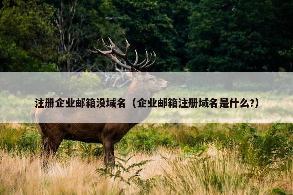 注册企业邮箱没域名（企业邮箱注册域名是什么?）