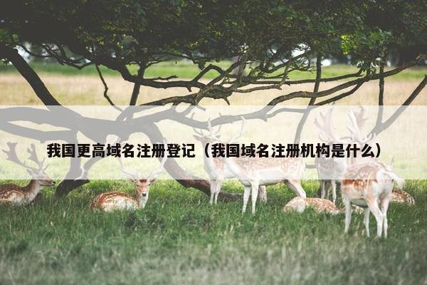 我国更高域名注册登记（我国域名注册机构是什么）