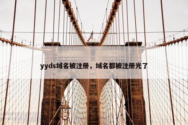 yyds域名被注册，域名都被注册光了