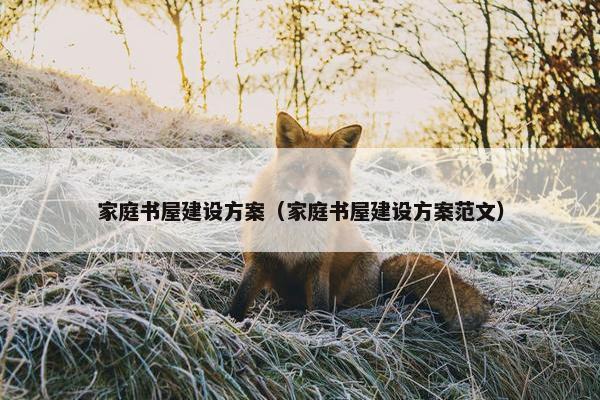 家庭书屋建设方案（家庭书屋建设方案范文）