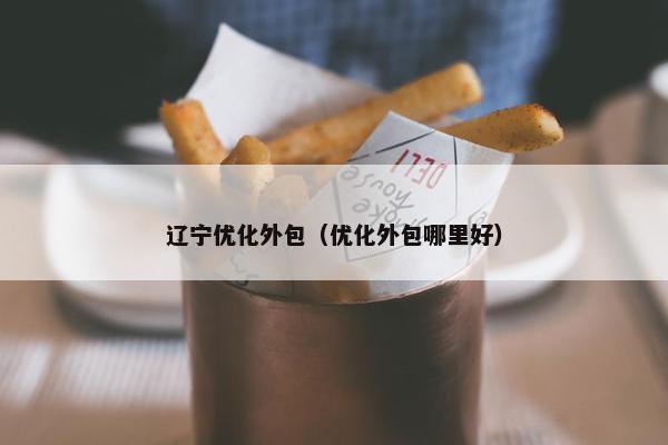 辽宁优化外包（优化外包哪里好）