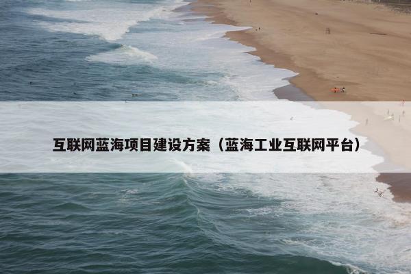 互联网蓝海项目建设方案（蓝海工业互联网平台）