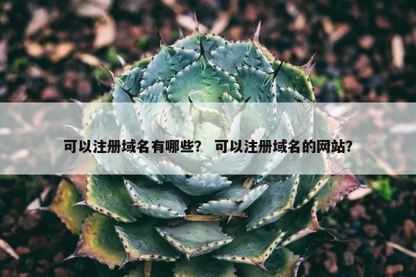 可以注册域名有哪些？ 可以注册域名的网站？