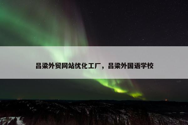 吕梁外贸网站优化工厂，吕梁外国语学校