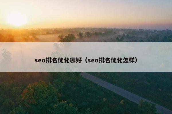 seo排名优化哪好（seo排名优化怎样）