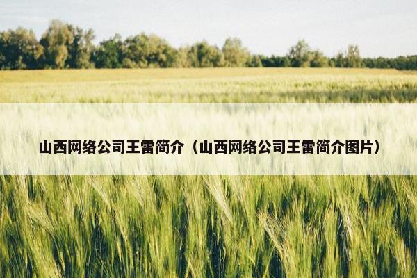 山西网络公司王雷简介（山西网络公司王雷简介图片）