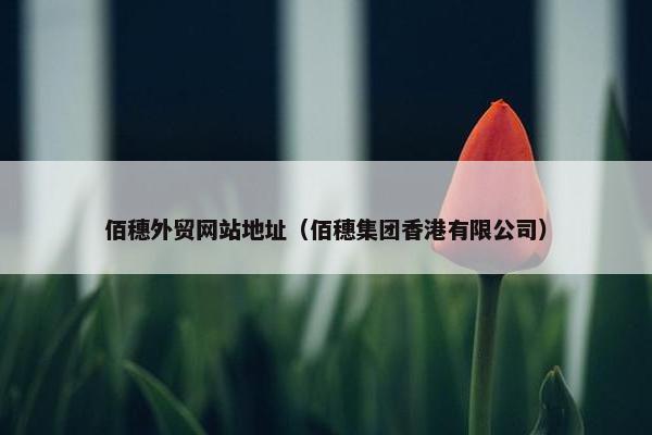 佰穗外贸网站地址（佰穗集团香港有限公司）