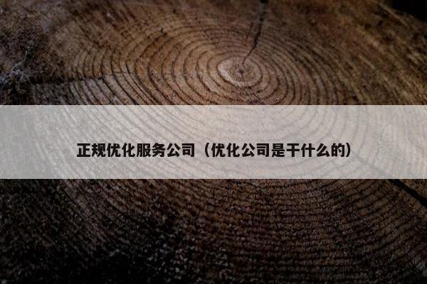 正规优化服务公司（优化公司是干什么的）