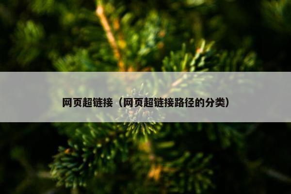 网页超链接（网页超链接路径的分类）