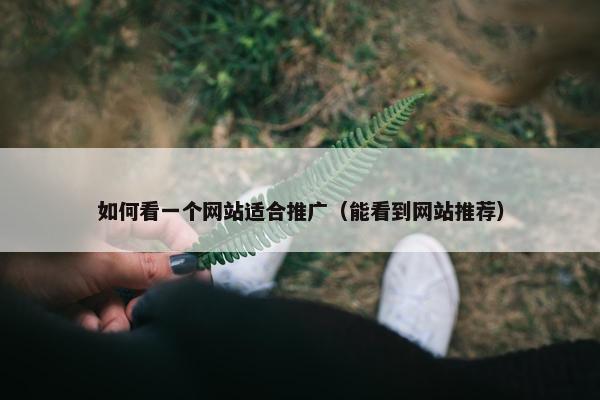 如何看一个网站适合推广（能看到网站推荐）