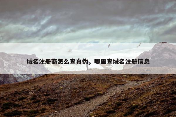 域名注册商怎么查真伪，哪里查域名注册信息