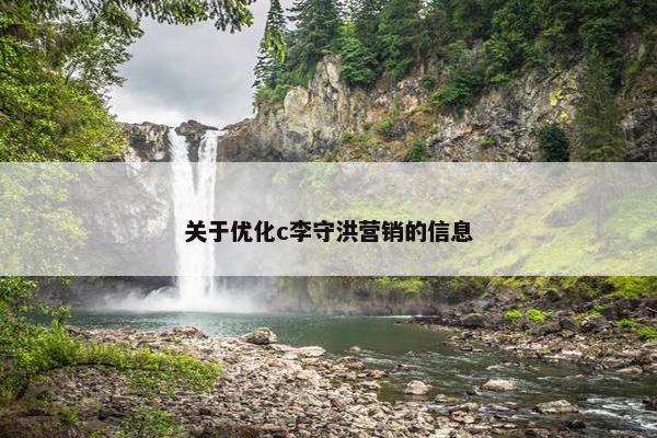 关于优化c李守洪营销的信息