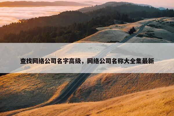 查找网络公司名字高级，网络公司名称大全集最新
