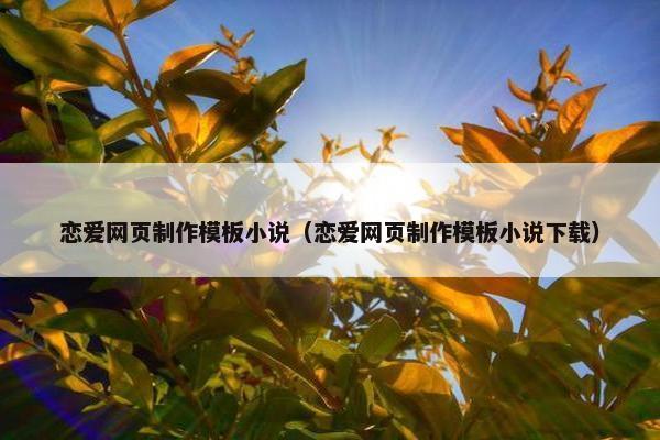 恋爱网页制作模板小说（恋爱网页制作模板小说下载）