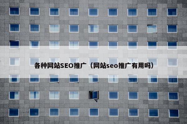 各种网站SEO推广（网站seo推广有用吗）