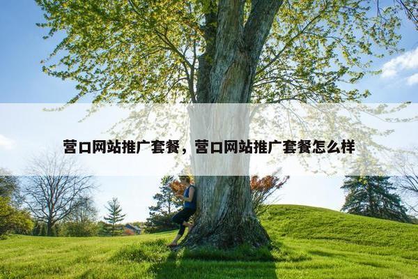 营口网站推广套餐，营口网站推广套餐怎么样