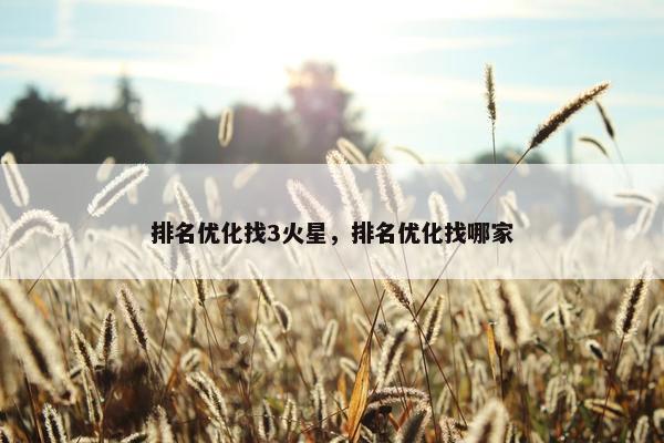 排名优化找3火星，排名优化找哪家