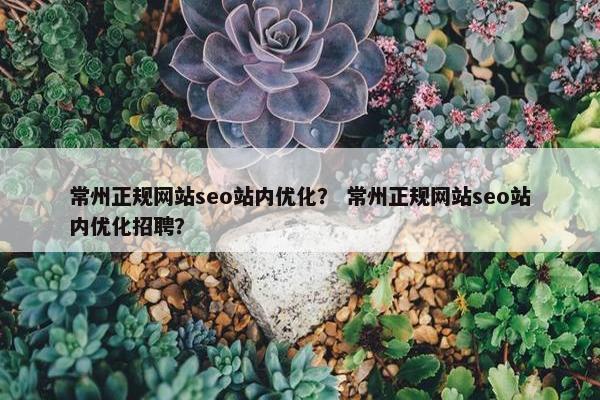 常州正规网站seo站内优化？ 常州正规网站seo站内优化招聘？