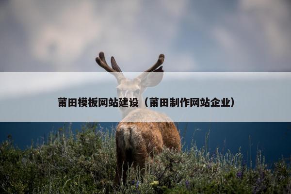 莆田模板网站建设（莆田制作网站企业）