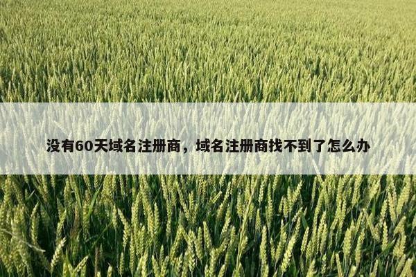 没有60天域名注册商，域名注册商找不到了怎么办