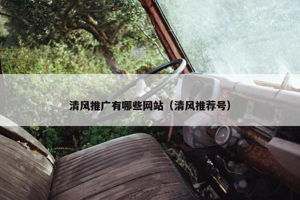 清风推广有哪些网站（清风推荐号）