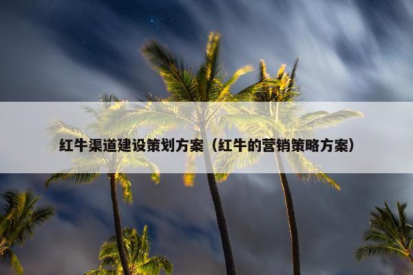 红牛渠道建设策划方案（红牛的营销策略方案）