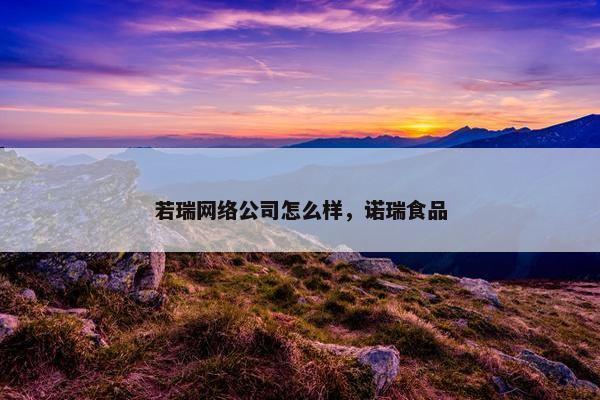 若瑞网络公司怎么样，诺瑞食品