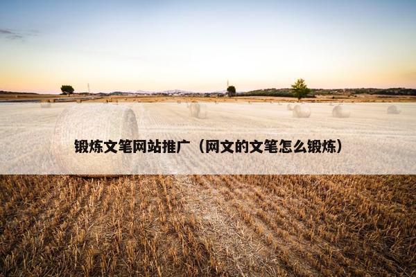锻炼文笔网站推广（网文的文笔怎么锻炼）