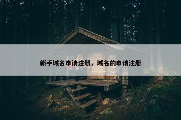 新手域名申请注册，域名的申请注册