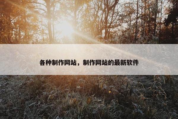 各种制作网站，制作网站的最新软件