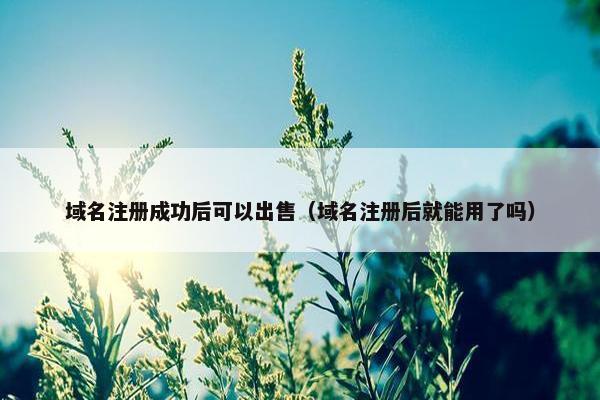 域名注册成功后可以出售（域名注册后就能用了吗）