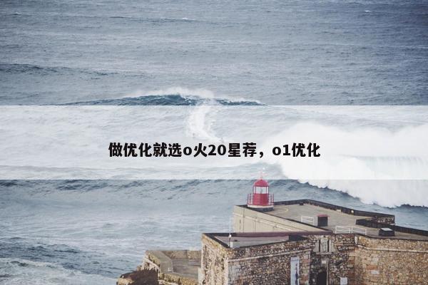 做优化就选o火20星荐，o1优化