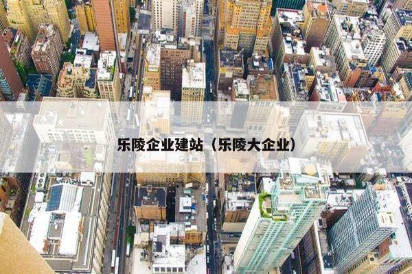 乐陵企业建站（乐陵大企业）