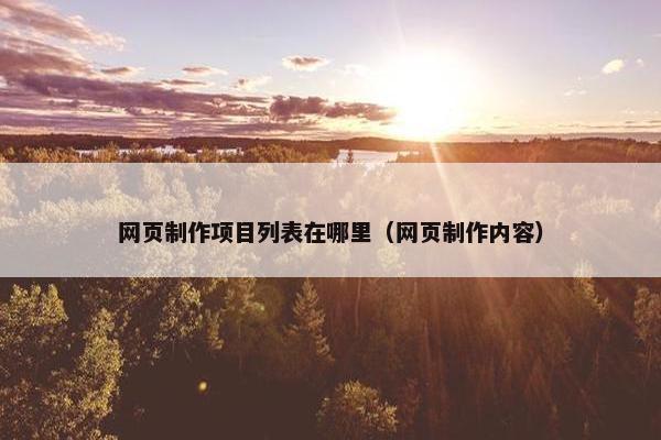 网页制作项目列表在哪里（网页制作内容）