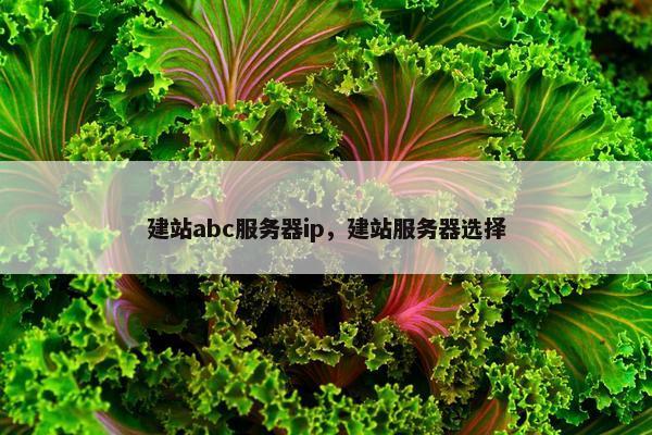建站abc服务器ip，建站服务器选择