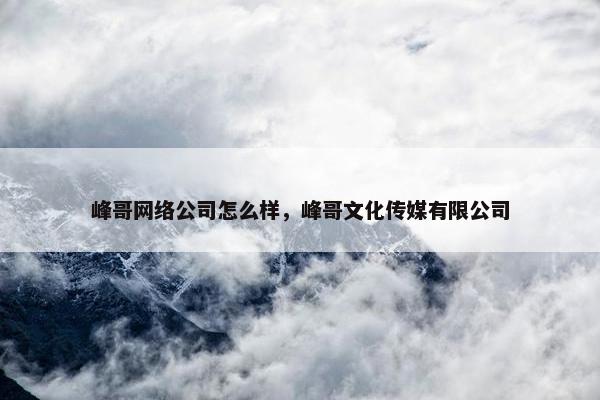 峰哥网络公司怎么样，峰哥文化传媒有限公司