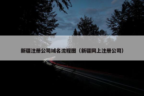 新疆注册公司域名流程图（新疆网上注册公司）