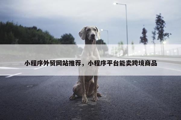 小程序外贸网站推荐，小程序平台能卖跨境商品