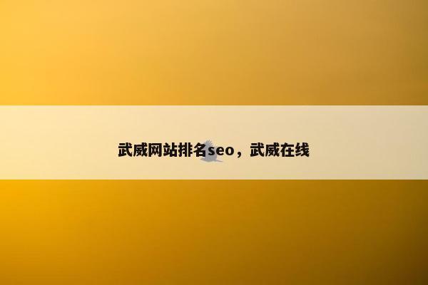 武威网站排名seo，武威在线