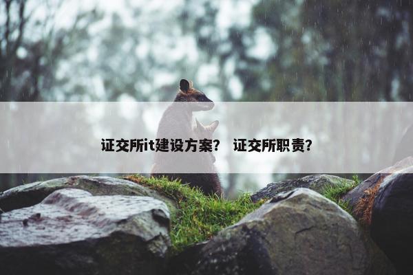 证交所it建设方案？ 证交所职责？