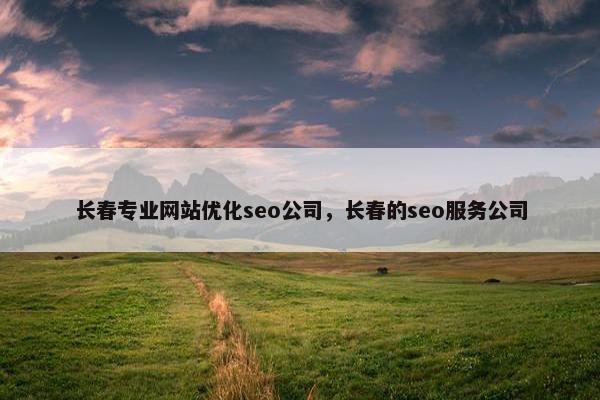 长春专业网站优化seo公司，长春的seo服务公司